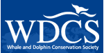 Whale and Dolphin Conservation Society Logo